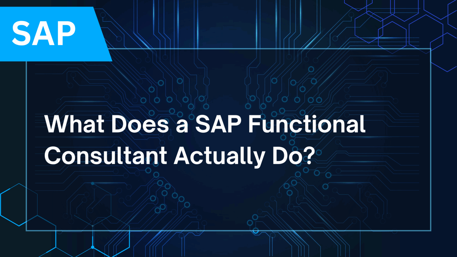 SAP visual data 6